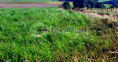 Terreno de 4,10 hectares em Santo Ângelo