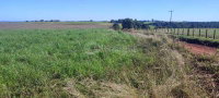 Terreno de 4,10 hectares em Santo Ângelo