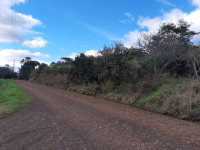 Lote Rural de 134.394m² em Viadutos/RS - Oportunidade de Investimento