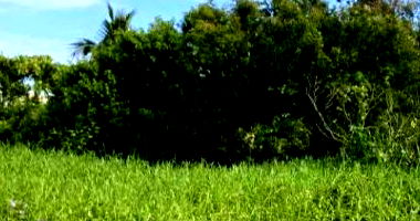 Terreno Urbano em Armação, Penha/SC - 729,74m²