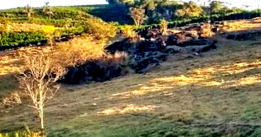 Gleba Rural em Machado/MG com 31,91ha