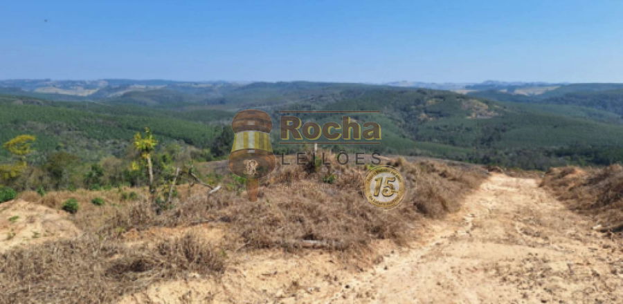 Lote Rural com Reflorestamento e Mata Nativa