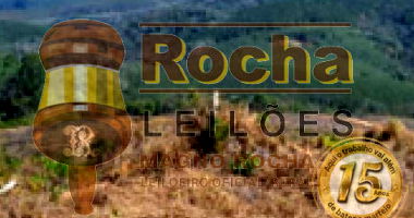 Lote Rural com Reflorestamento e Mata Nativa