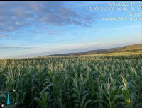 Imóvel Rural 158,47ha para agricultura soja/milho em Porto Nacional/TO