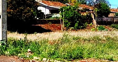Terreno Urbano com 1.628 m² em Realeza/PR