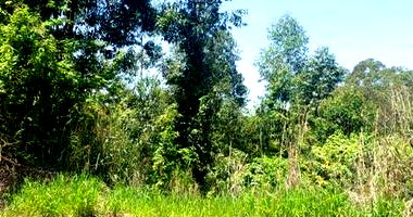 Terreno com 1.122,10m² em Itupeva/SP