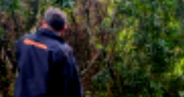 Terreno Urbano desocupado com 360 m² em Diamante do Sul