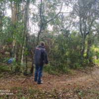 Terreno Urbano com 360 m² em Diamante do Sul