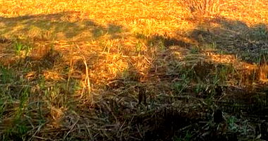 Terreno amplo de 2700m² sem benfeitorias, excelente padrão