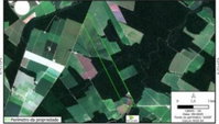 Fazenda Rural 904 ha em Santa Carmem - MT