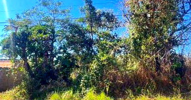 Terreno com Direitos Possessórios em Brasília