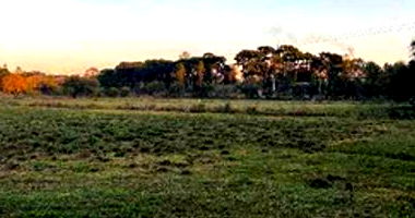 Imóvel Rural com 2,6 Hectares em Araucária/PR - Fração Ideal 50%