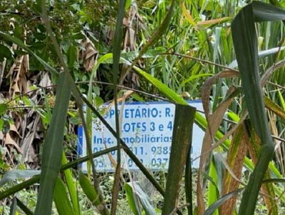 Terreno de 640m² na Ilha do Boi, desocupado e sem benfeitorias