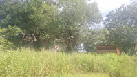 Terreno urbano de 3.622m², ideal para investimento