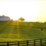 Fazenda Rural com 17,5 hectares em Três Corações - Área ampla para investimento