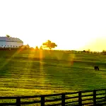 Fazenda Rural com 17,5 hectares em Três Corações - Área ampla para investimento