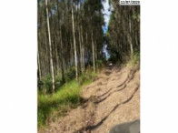 Terreno Rural de 8,43 hectares em Reserva/PR