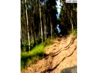 Terreno Rural de 8,43 hectares em Reserva/PR