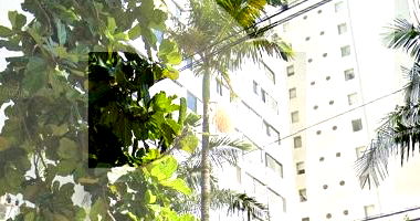 Apartamento com 3 quartos e 1 vaga em São Paulo
