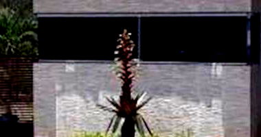 Casa padrão com 3 quartos, 1 banheiro, 2 vagas, 453.67m² construída, ocupada