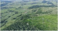 Terreno rural de 157,53 ha em Ouro Preto do Oeste/RO