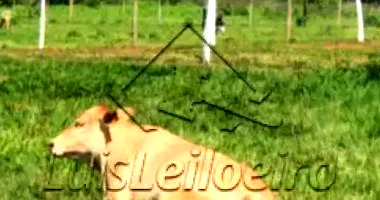 Terreno com 108,20 ha em Campo Belo/MG