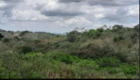 Terreno de 480m² em Campina Grande, ideal para investimento