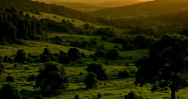 Fazenda São José do Cerrito com 189.476 m²