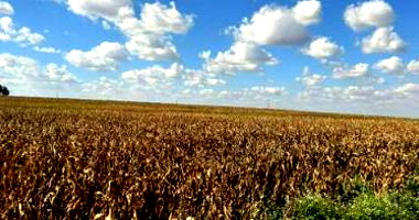 Imóvel Rural com 17.55ha em Terra Roxa-PR