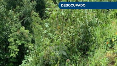 Terreno Urbano de 531m² no Bairro Flor da Serra