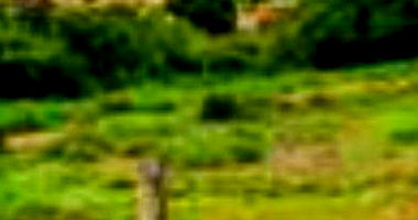 Terreno Urbano Amplo em Silvânia/GO