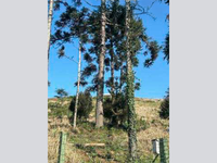 Terreno com 1.288m² em condomínio horizontal