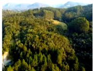 Chácara com 3,60ha em Rio Rufino/SC