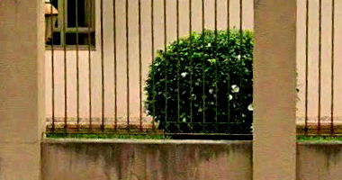 Casa com 296,63m² no Conj. Res. Santa Rita IV em Londrina/PR