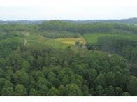 Chácara com 6 hectares, ideal para investimento rural