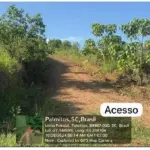 Lote Rural com 5 Ha e Benfeitorias em Palmitos - SC