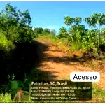 Lote Rural com 5 Ha e Benfeitorias em Palmitos - SC