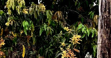 Terreno com 450m² na Avenida José Luiz