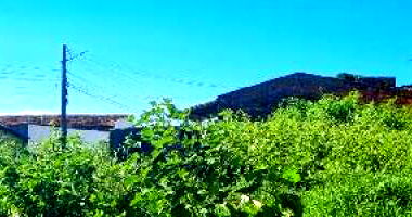 Terreno em Nossa Senhora do Socorro/SE com 125m²