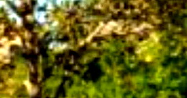 Terreno 149,22 m² no Loteamento Vivari