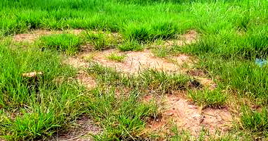 Terreno 250m² com potencial para imóvel unifamiliar, bairro tranquilo