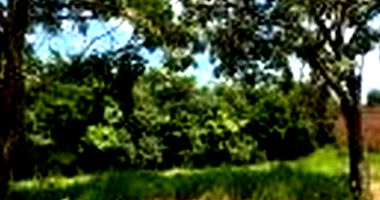 Terreno com 218,59 m² em Boituva - Lote 474