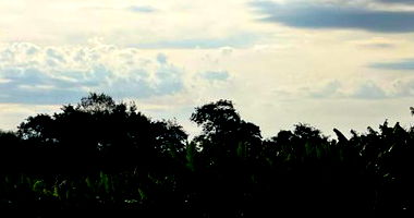 Lote de Terras com 22.521,62m² em Campo Mourão/PR