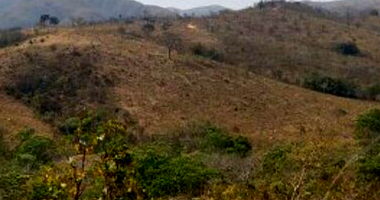Terreno Desocupado na Fazenda São Brás com 146,65 ha