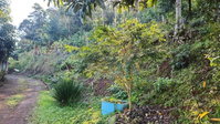 Terreno Urbano 1014m² em Mondaí/SC - Oportunidade