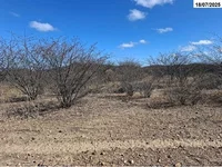 Sítio com 61,15 hectares em Casa Nova/BA