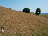 Terreno em Alta Floresta D'Oeste - RO com 12,32ha e 31,88ha