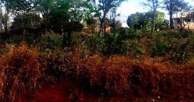 Lote de Terreno em Condomínio com 985,58 m²