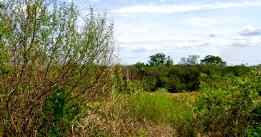 Imóvel Rural com 3.005ha em Barra/BA