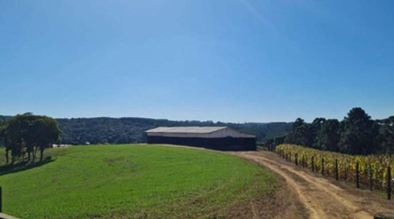 Terreno Rural com 55.289 m², galpão e residência em Rio Negrinho/SC